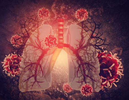 Fisio, Pato e Farmacologia do Sistema Respiratório